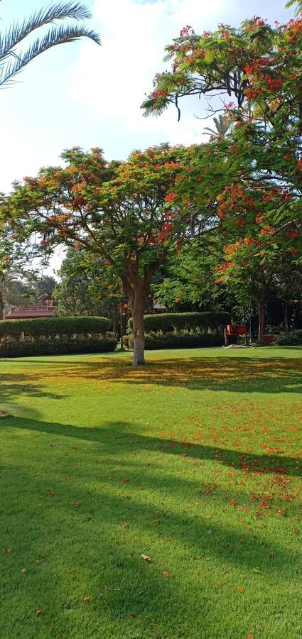 Sakkara Country Club Hotel El Hawamdeya Экстерьер фото
